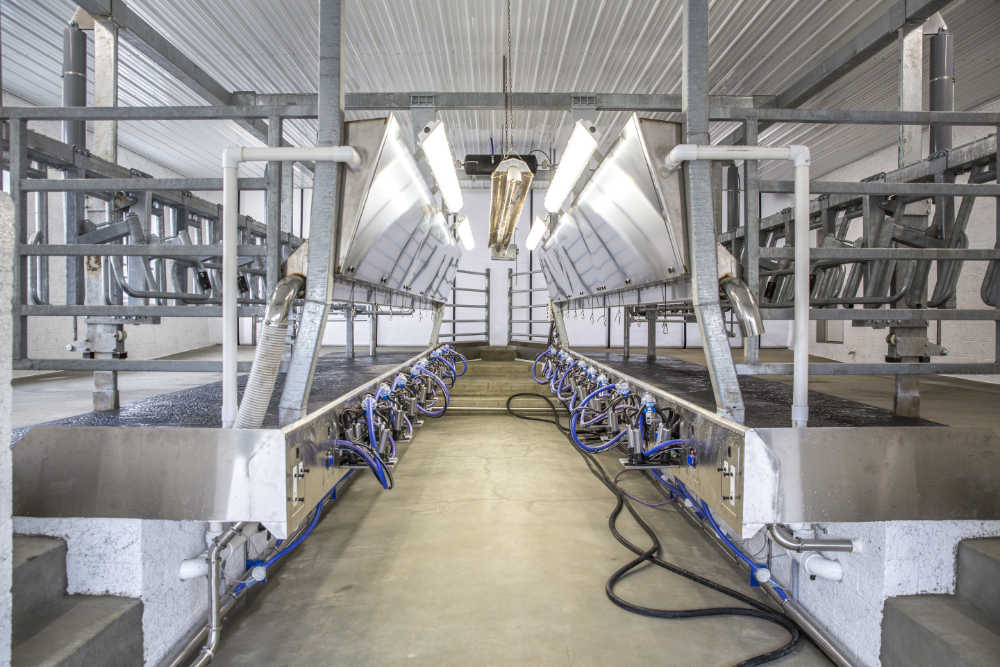 Hoover Ag Milking Parlor